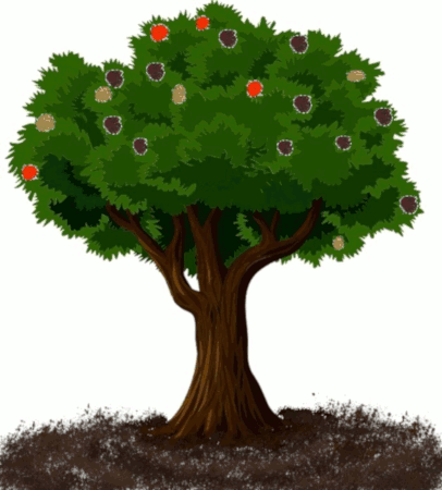 Wonder of the Earth and Sky: Seasons